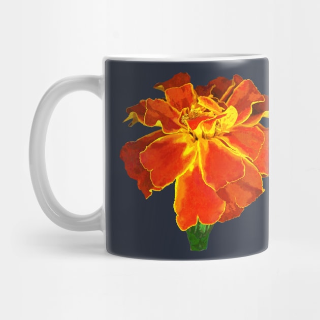 Marigolds - One French Marigold by SusanSavad